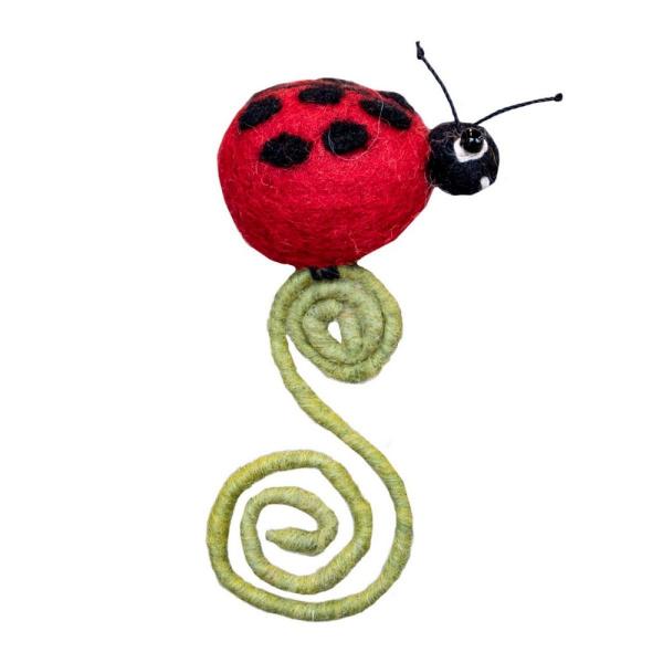 Ladybug Frond Friend